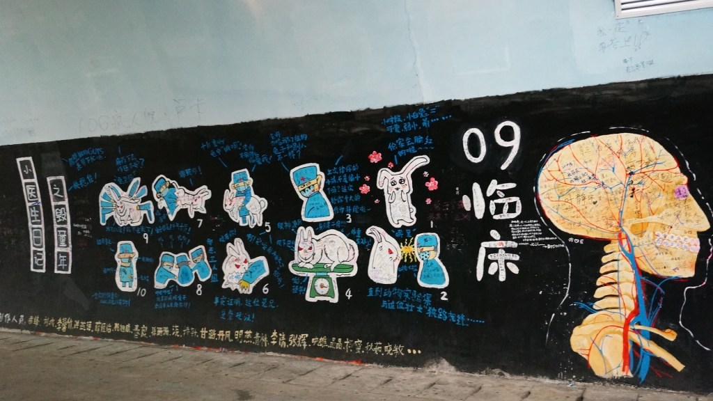 （这么说一个解剖兔子的故事真的大丈夫？）